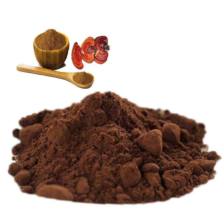 Lingzhi Coffee 3 in 1 Cordyceps Arabica with Chaga Mushroom Water Extracted Powder Packaged in Bag or Drum